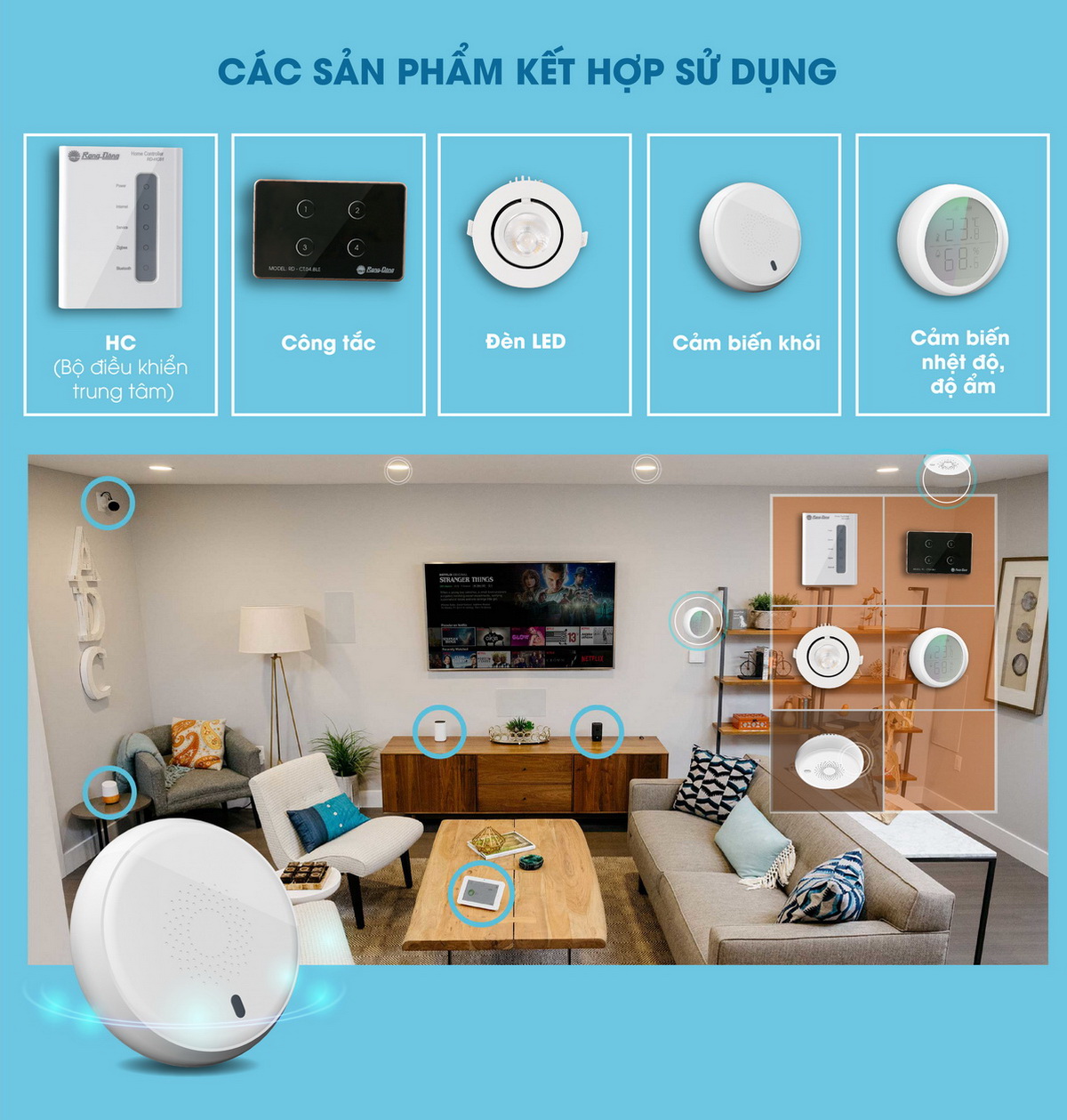 Cảm biến khói Ralli