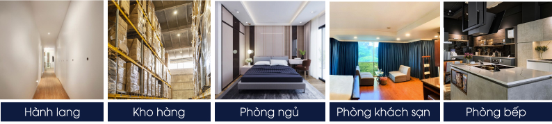 Cảm biến nhiệt Ralli